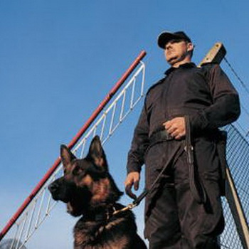 Собаки для защитно-караульной службы, их содержание и кормление